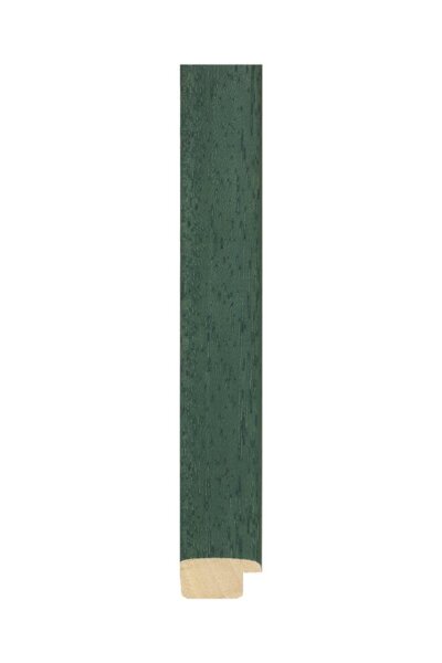 Natura II. zelená