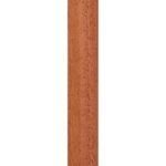 Natura II. pínia